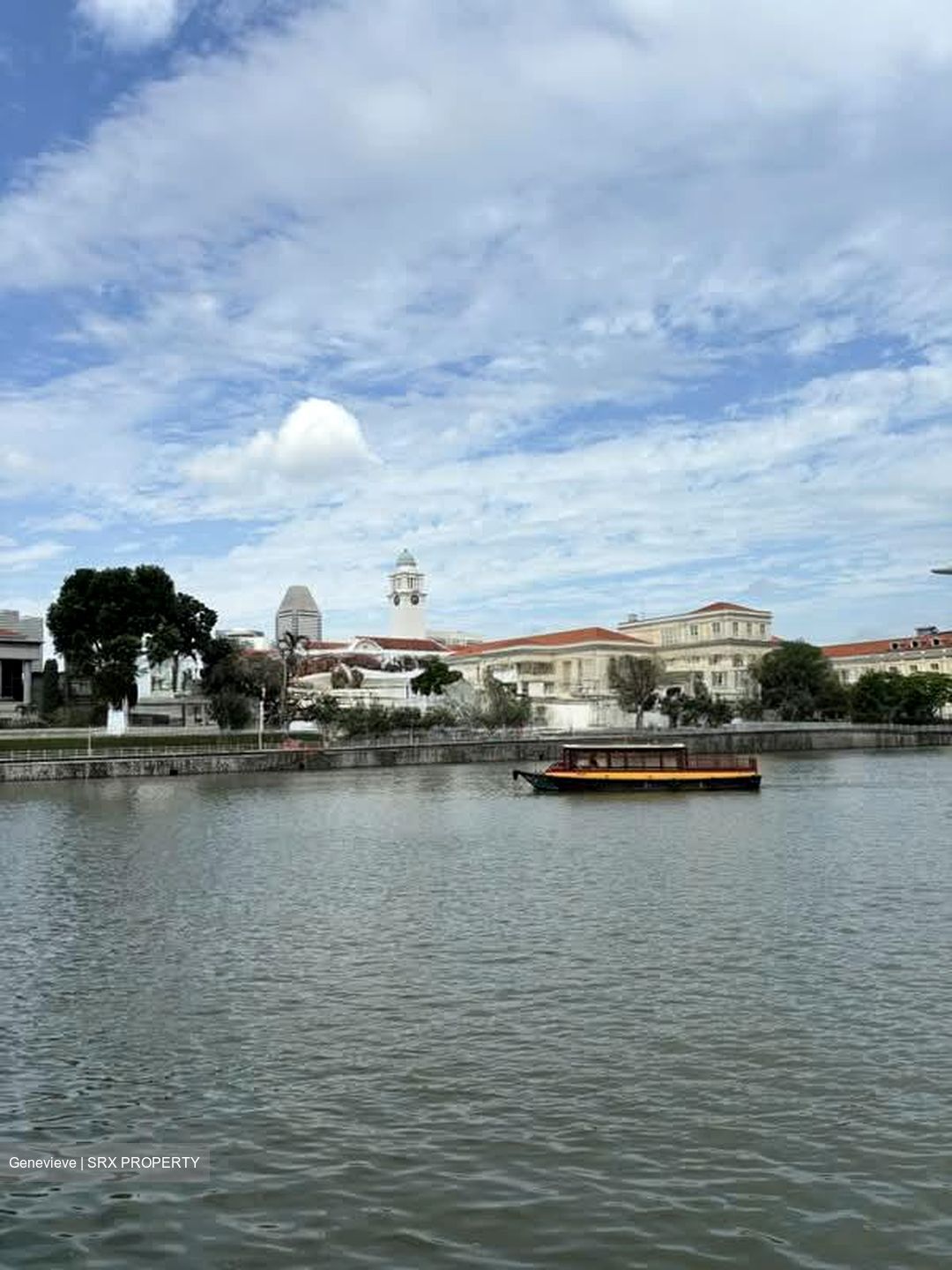 Boat Quay Conservation Area (D1), Shop House #564748101